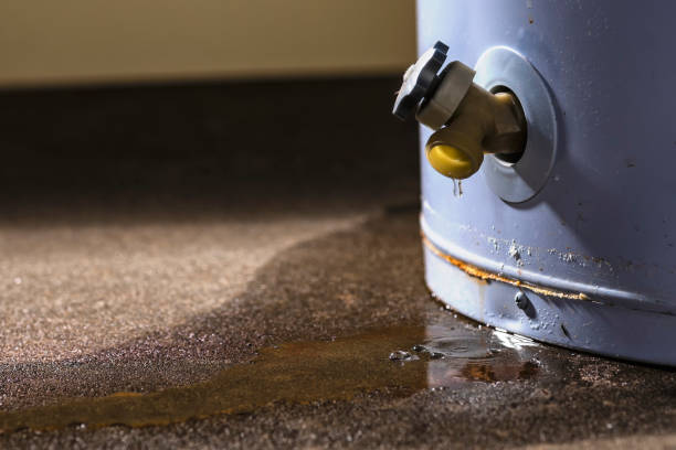Best Residential water damage restoration  in Carrier Mls, IL