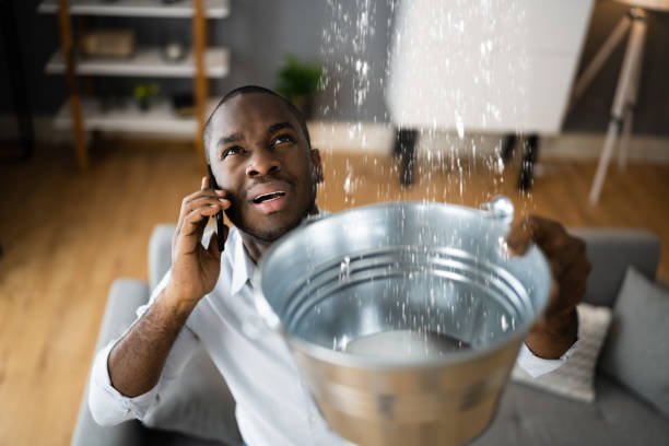 Best Emergency water damage restoration  in Carrier Mls, IL