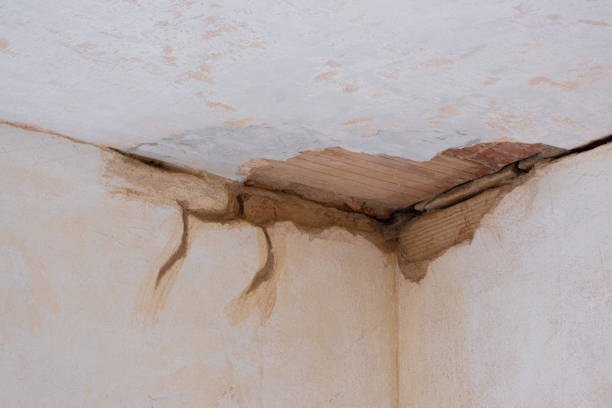 Best Water damage restoration process  in Carrier Mls, IL