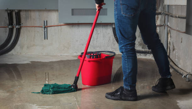 Best Residential water damage restoration  in Carrier Mls, IL