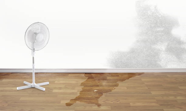  Carrier Mls, IL Water damage restoration Pros