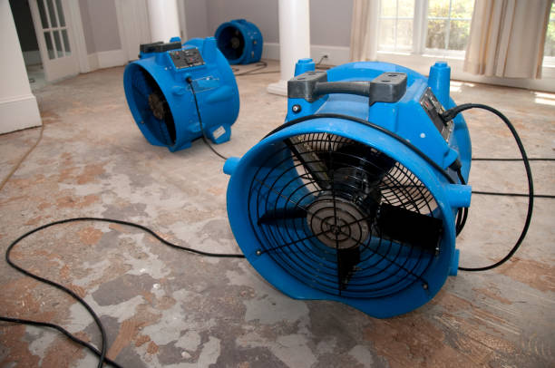 Best Flood damage cleanup  in Carrier Mls, IL