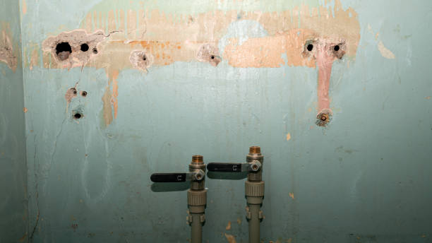Best Water damage cleanup near me  in Carrier Mls, IL