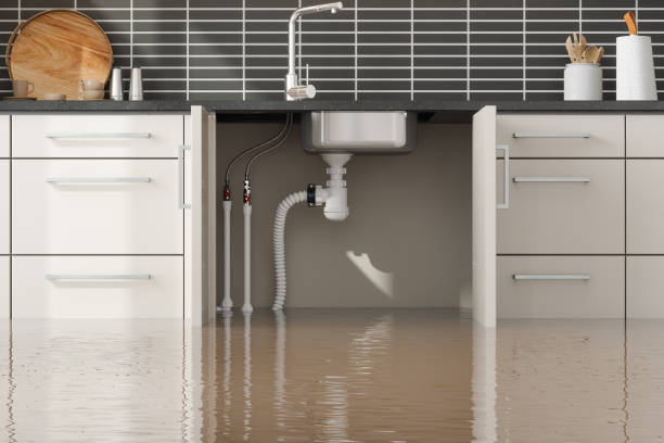 Best Flooded house restoration  in Carrier Mls, IL