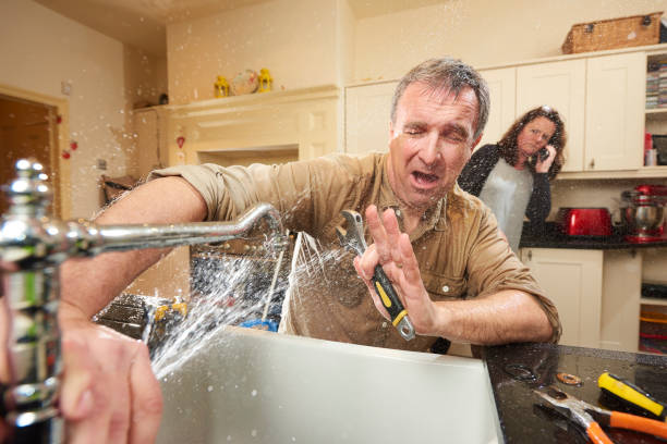 Best Carpet water damage restoration  in Carrier Mls, IL
